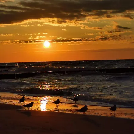 Lejlighed Radosny - Sloneczne